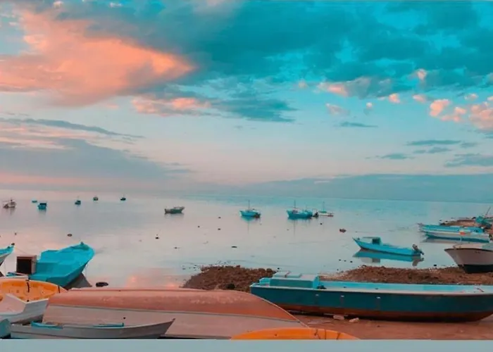 Sea Life Apartments-hotel