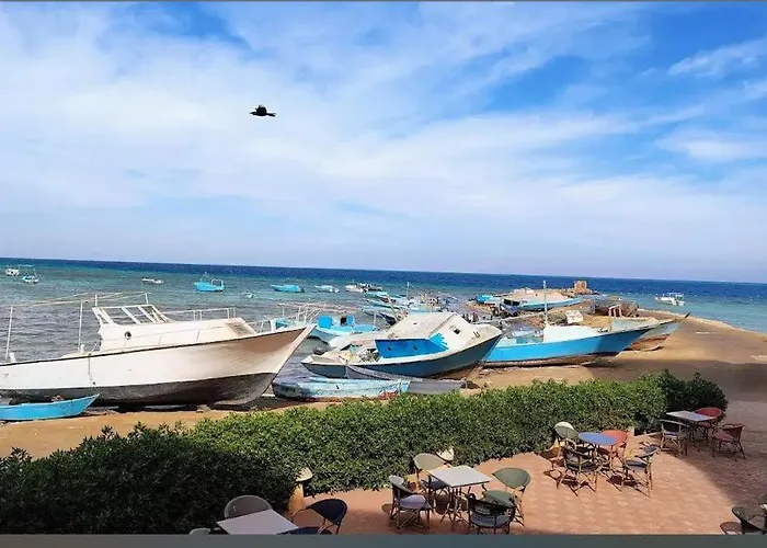 Sea Life Apartments-hotel 3* Gurdaka